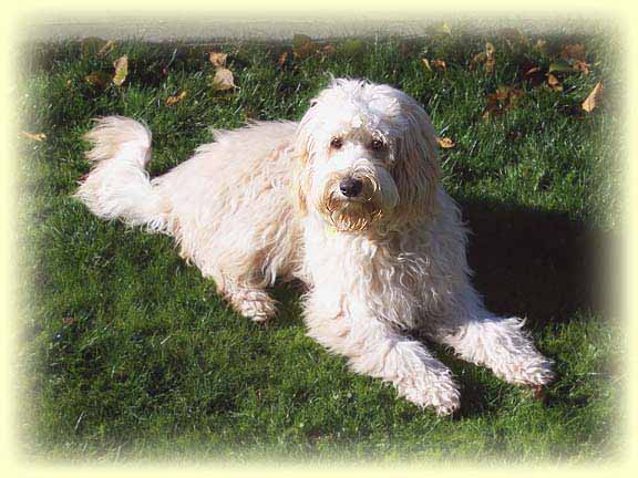 Nicky8monthsGrassSmYellow