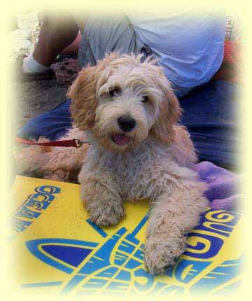 NickyBeach4monthsYellow