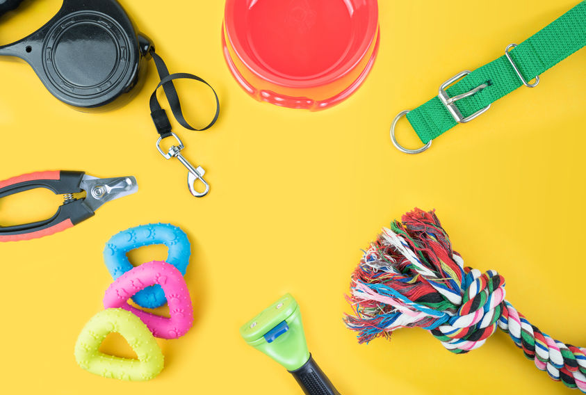 Pet supplies with copy space on yellow background