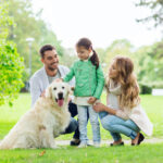 Tips for Socializing Your Dog During a Pandemic